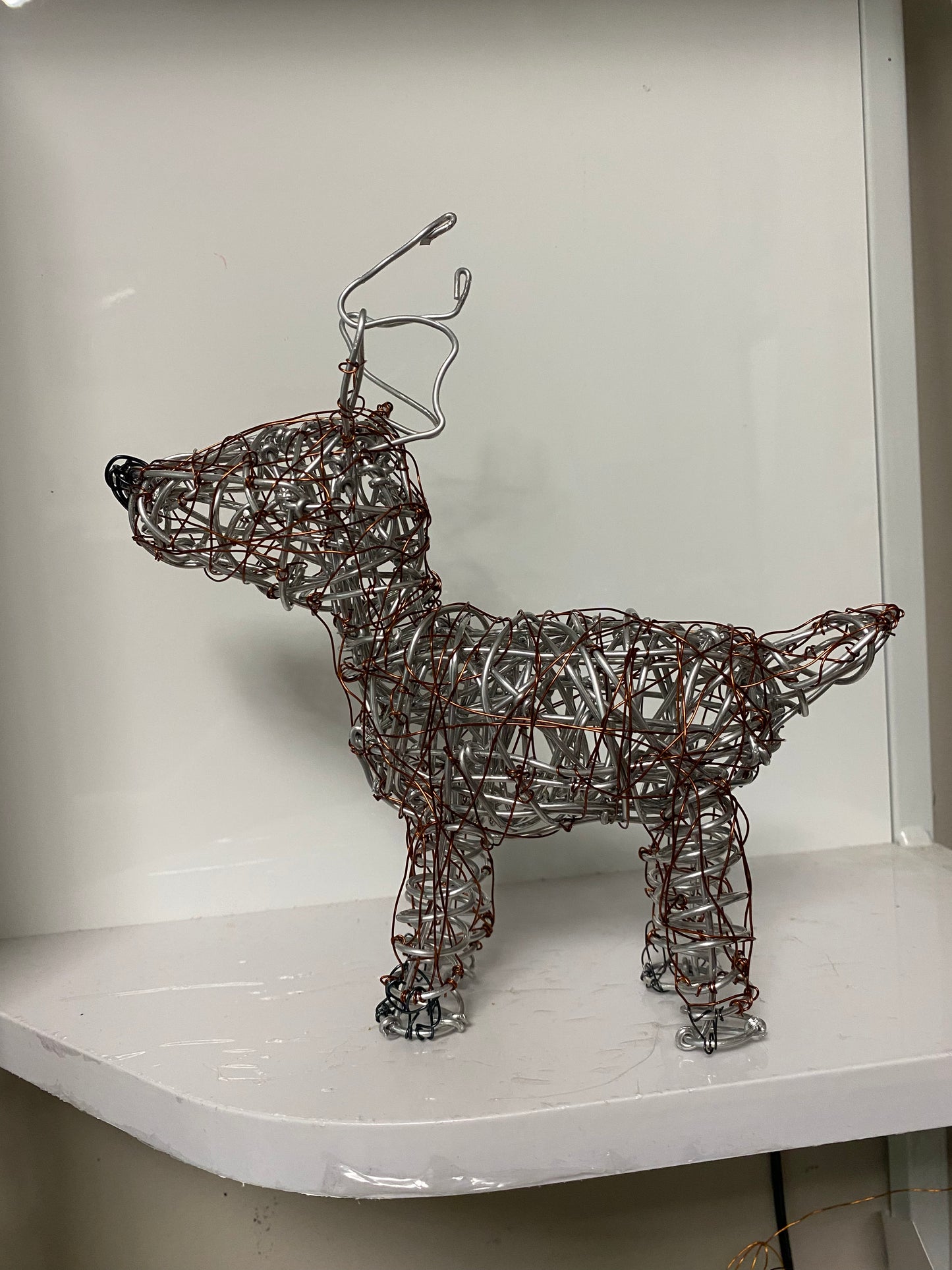 Deer
