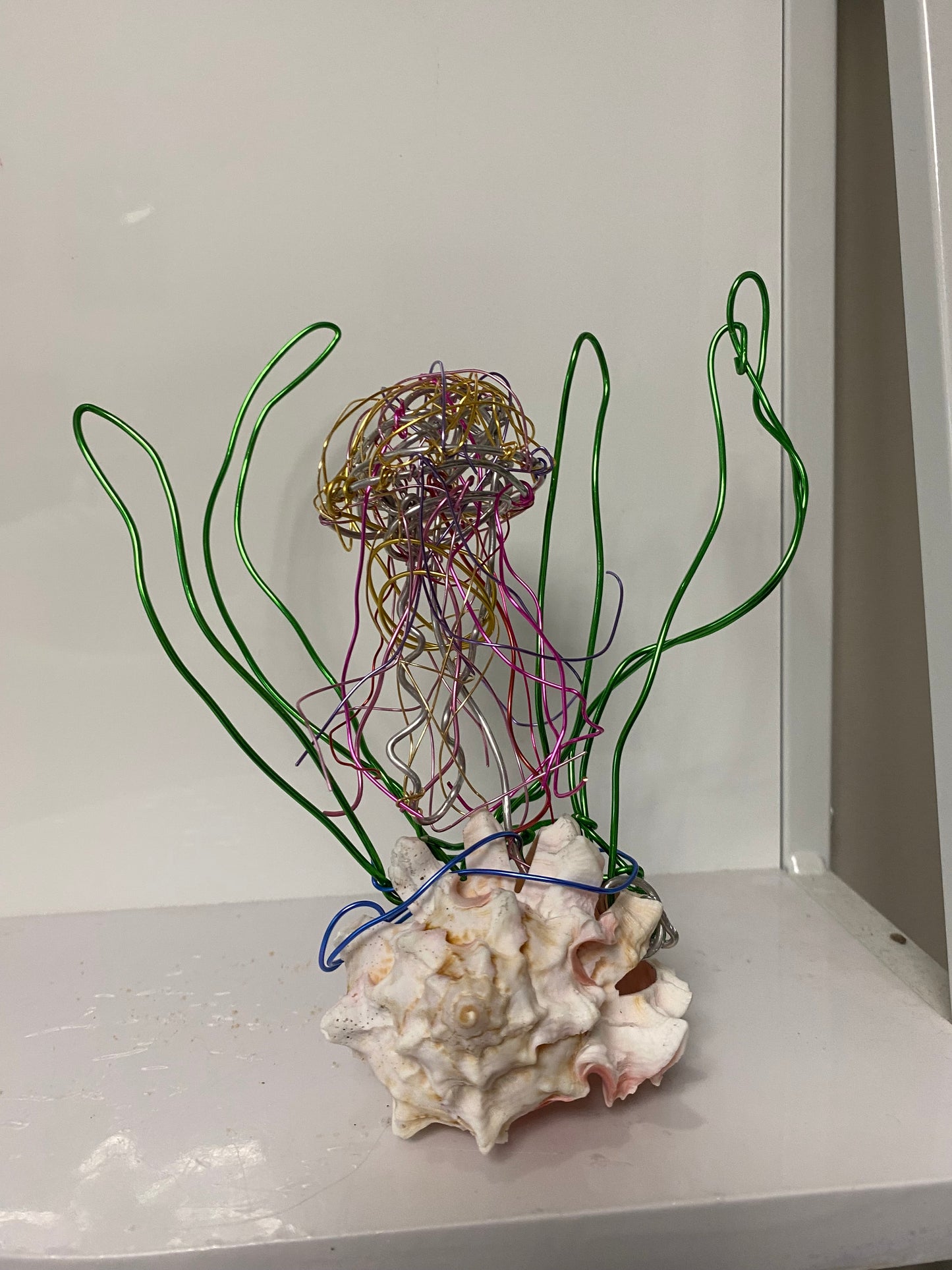 Big Rainbow Jellyfish