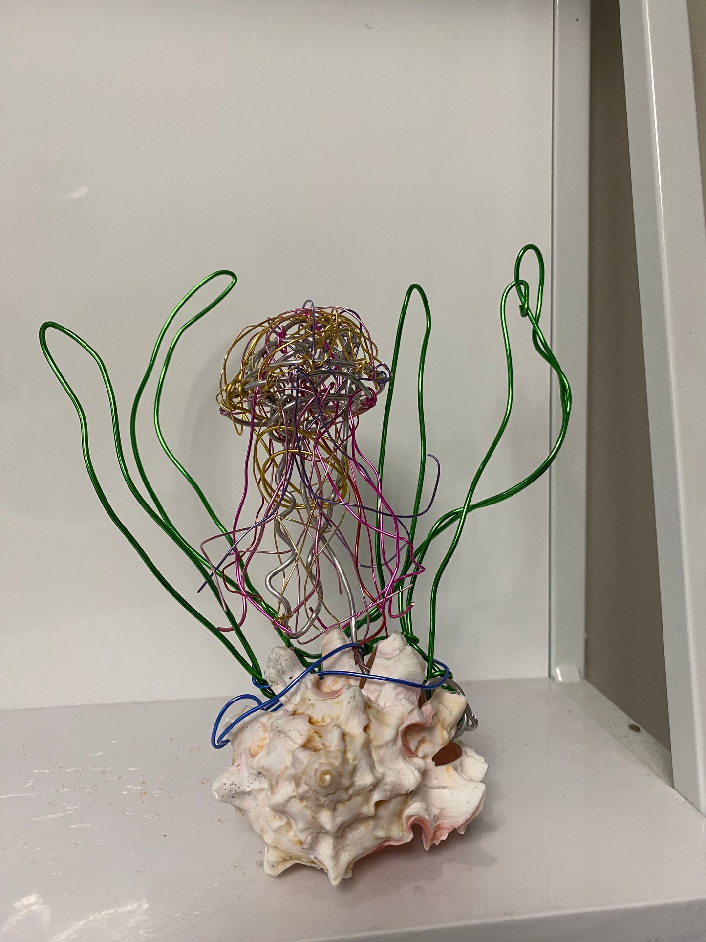 Big Rainbow Jellyfish